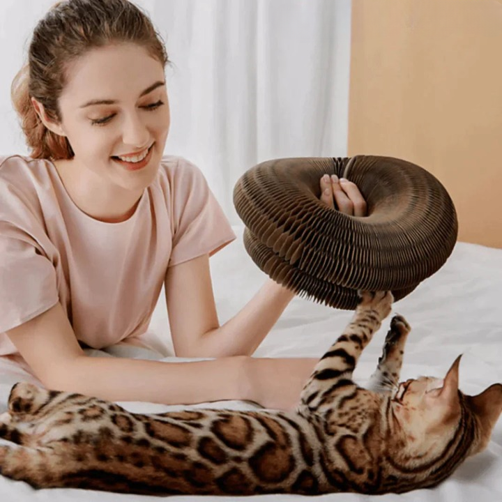 PurrfectScratch Katzenspielzeug