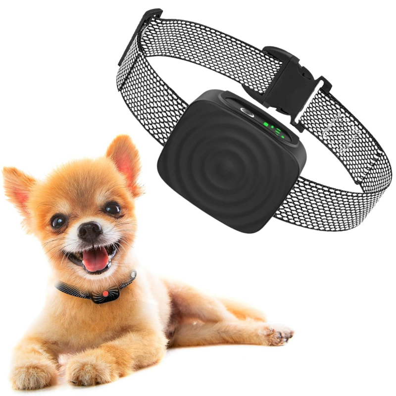 QuietPaws Mini-Barkontrollhalsband für kleine Hunde