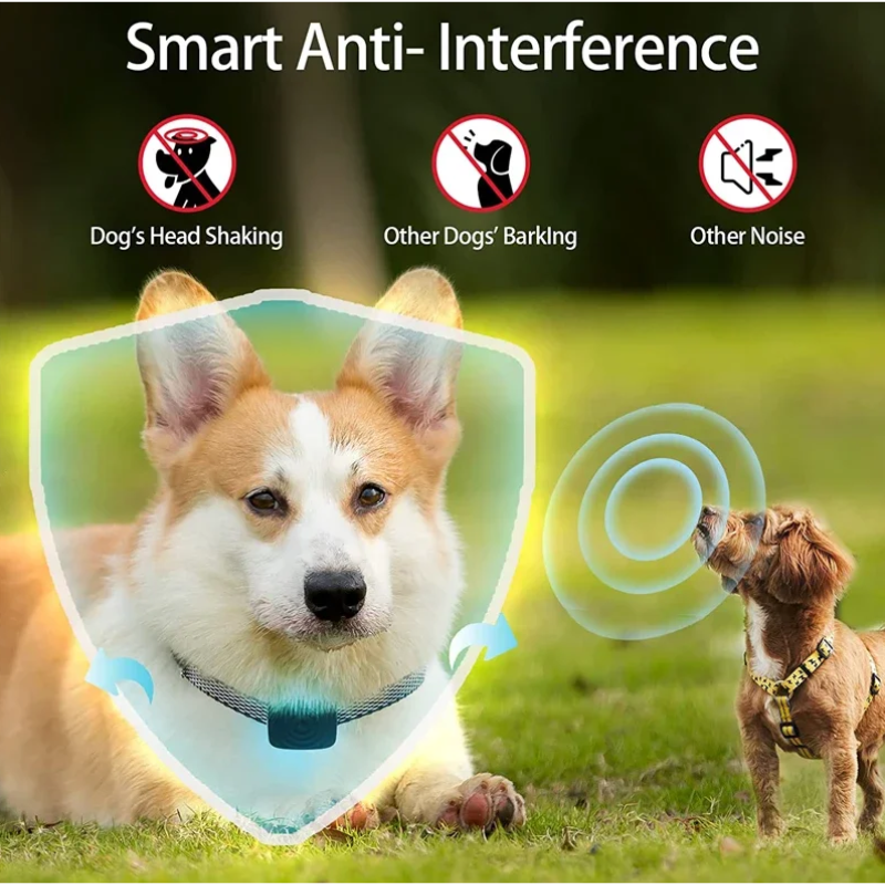 QuietPaws Mini-Barkontrollhalsband für kleine Hunde