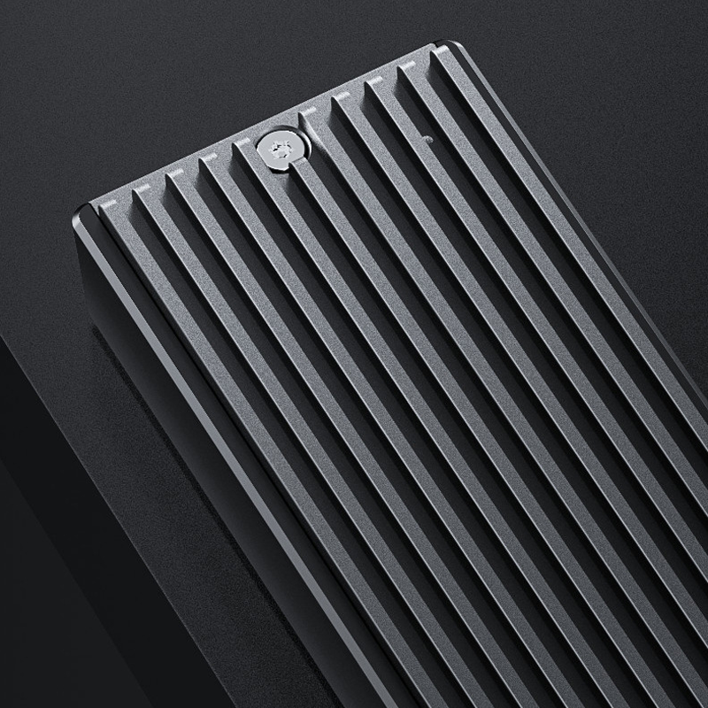 ByteGuard Pro - Tragbares SSD-Gehäuse