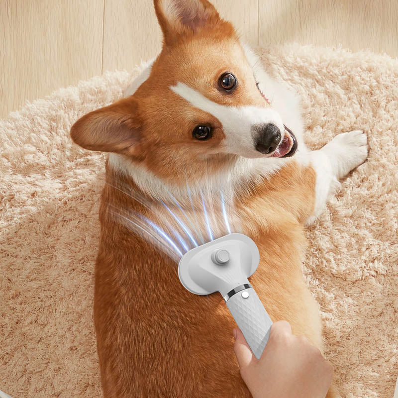 FurDry Pro 2-in-1 Trockner und Bürste für die Haustierpflege