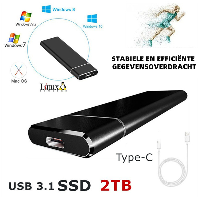 SwiftStor Externe SSD