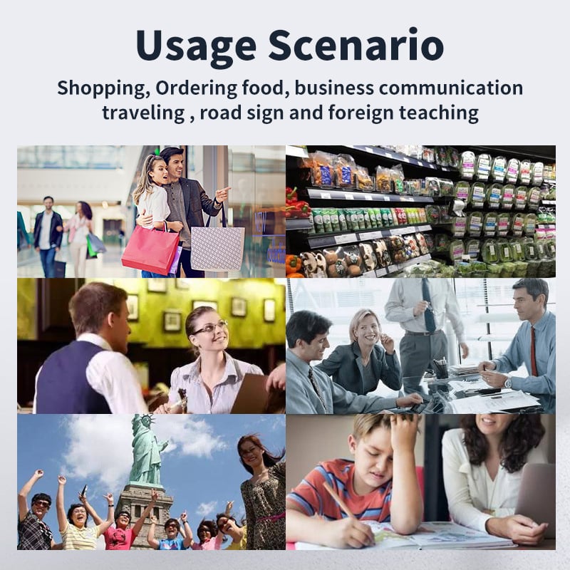 LingoSwift Übersetzerstift