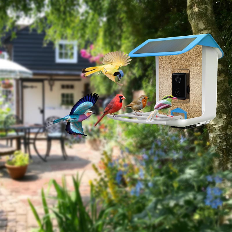BirdVision AI Smart Feeder mit Kamera & WIFI