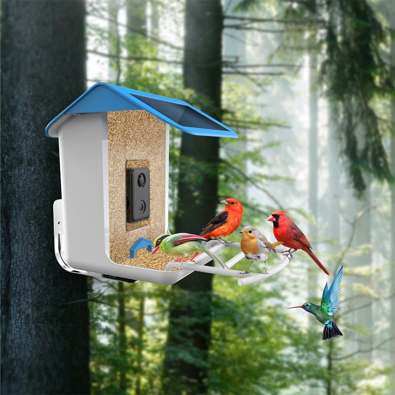 BirdVision AI Smart Feeder mit Kamera & WIFI