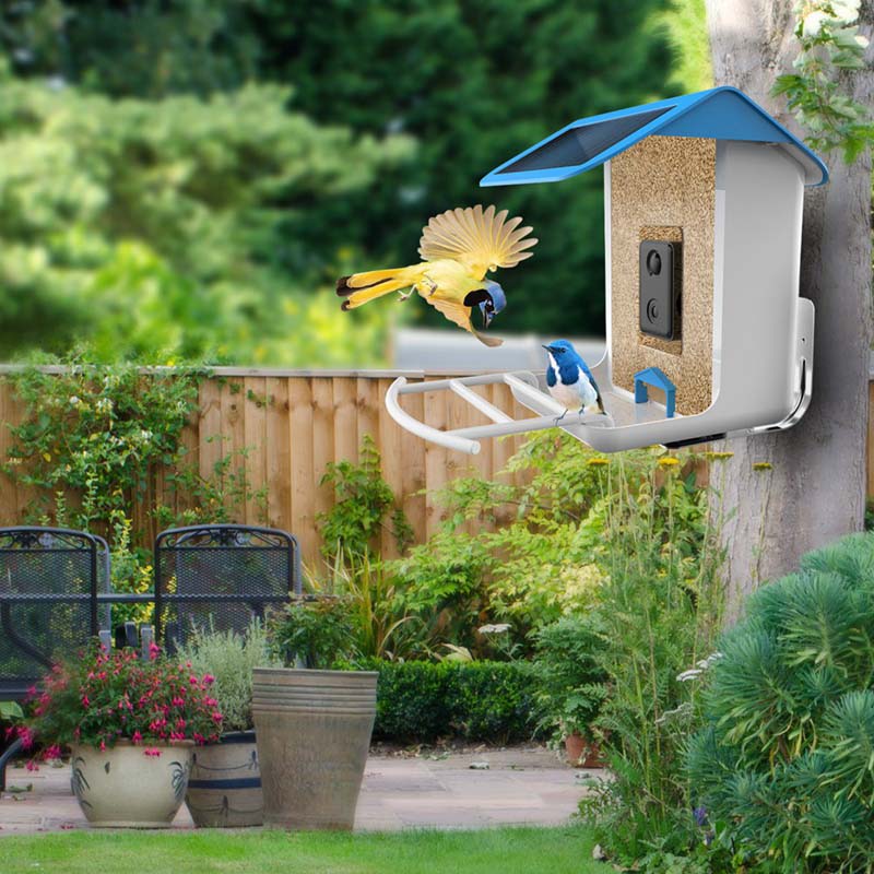 BirdVision AI Smart Feeder mit Kamera & WIFI