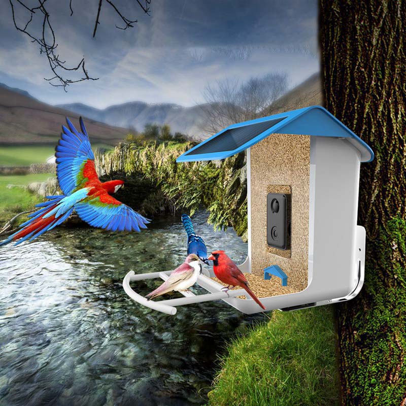 BirdVision AI Smart Feeder mit Kamera &amp; WIFI