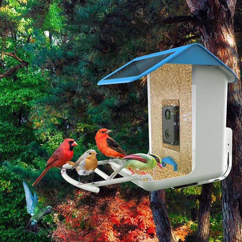BirdVision AI Smart Feeder mit Kamera &amp; WIFI