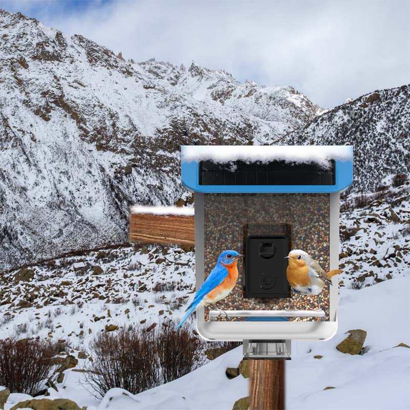 BirdVision AI Smart Feeder mit Kamera & WIFI