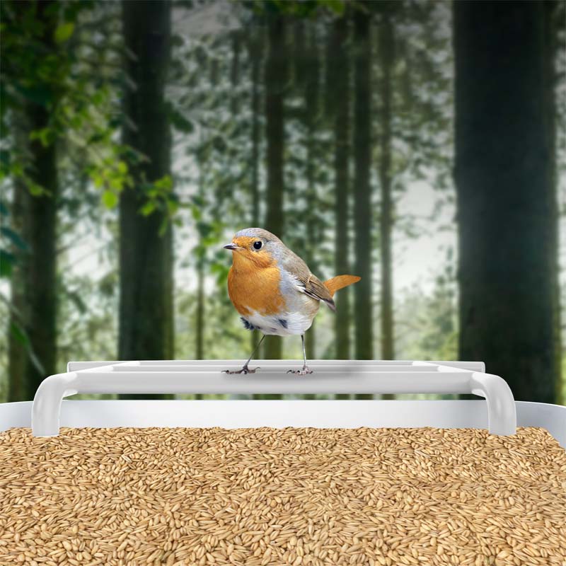 BirdVision AI Smart Feeder mit Kamera & WIFI