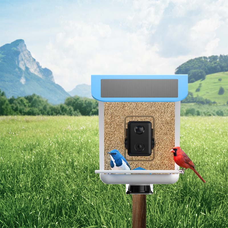 BirdVision AI Smart Feeder mit Kamera &amp; WIFI