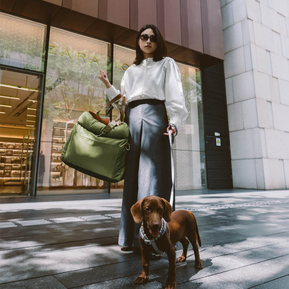 ComfortPaws - Auto-Hundebett