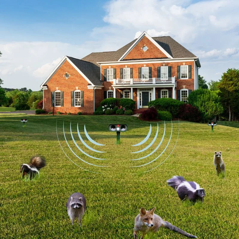 EcoGuard Sonic - Ultraschall-Schädlingsvertreiber für den Außenbereich