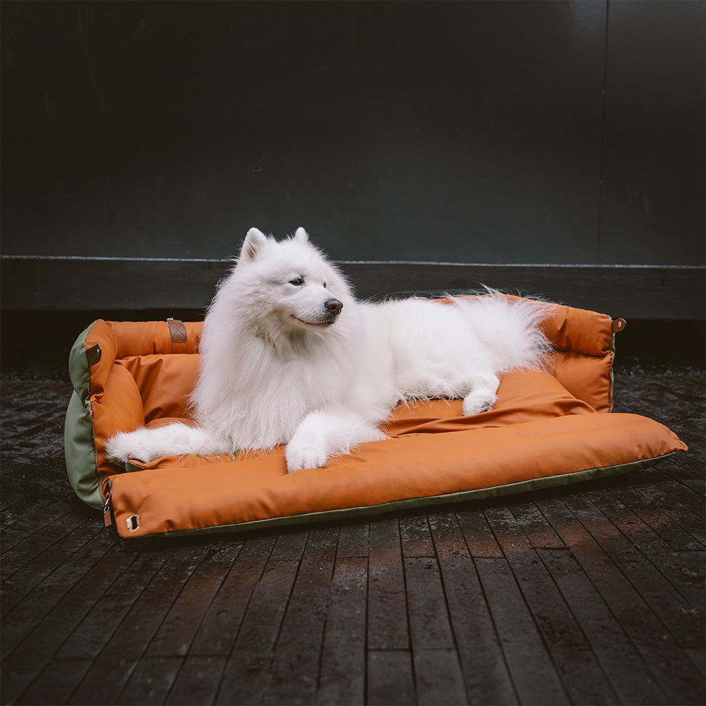 ComfortPaws - Auto-Hundebett