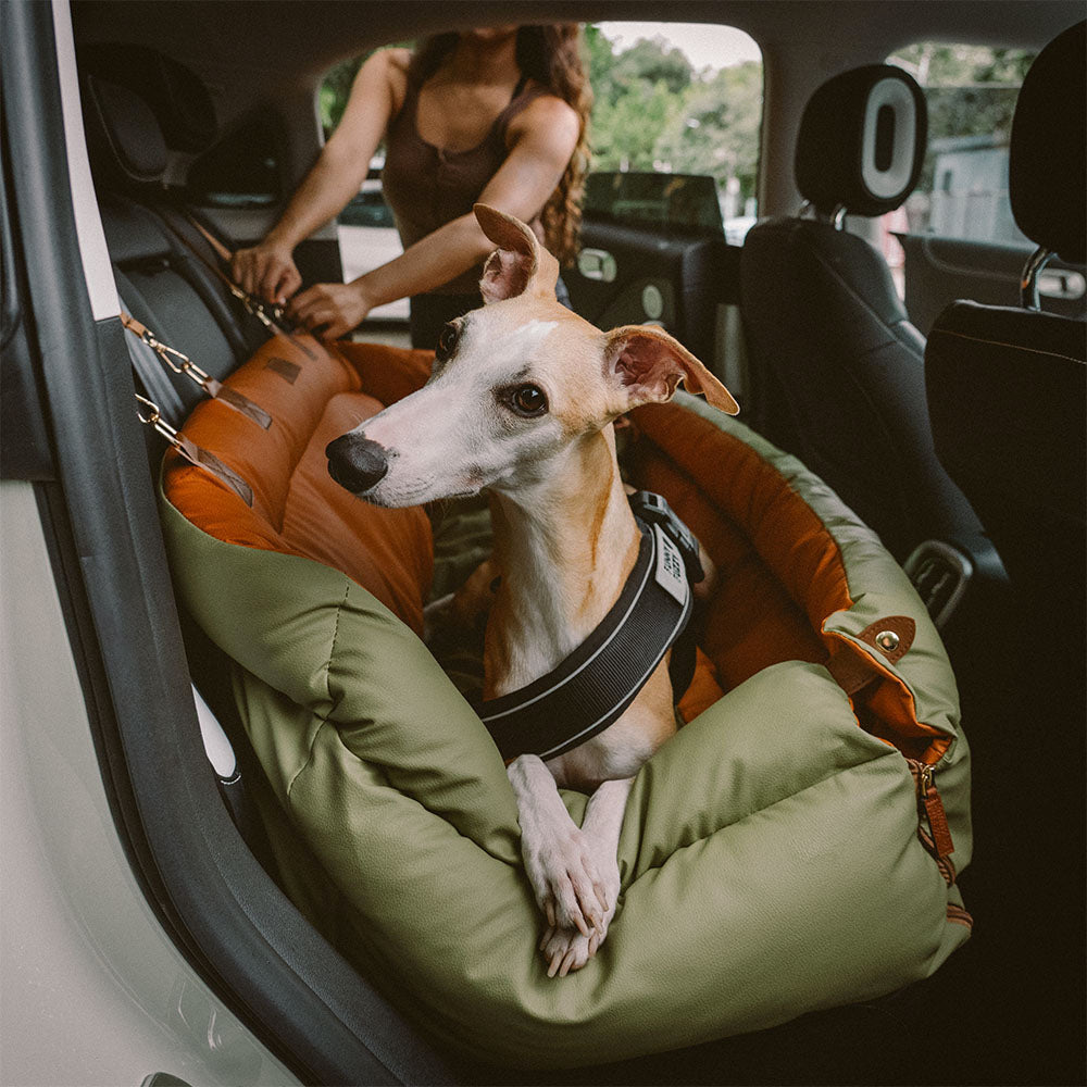 ComfortPaws - Auto-Hundebett