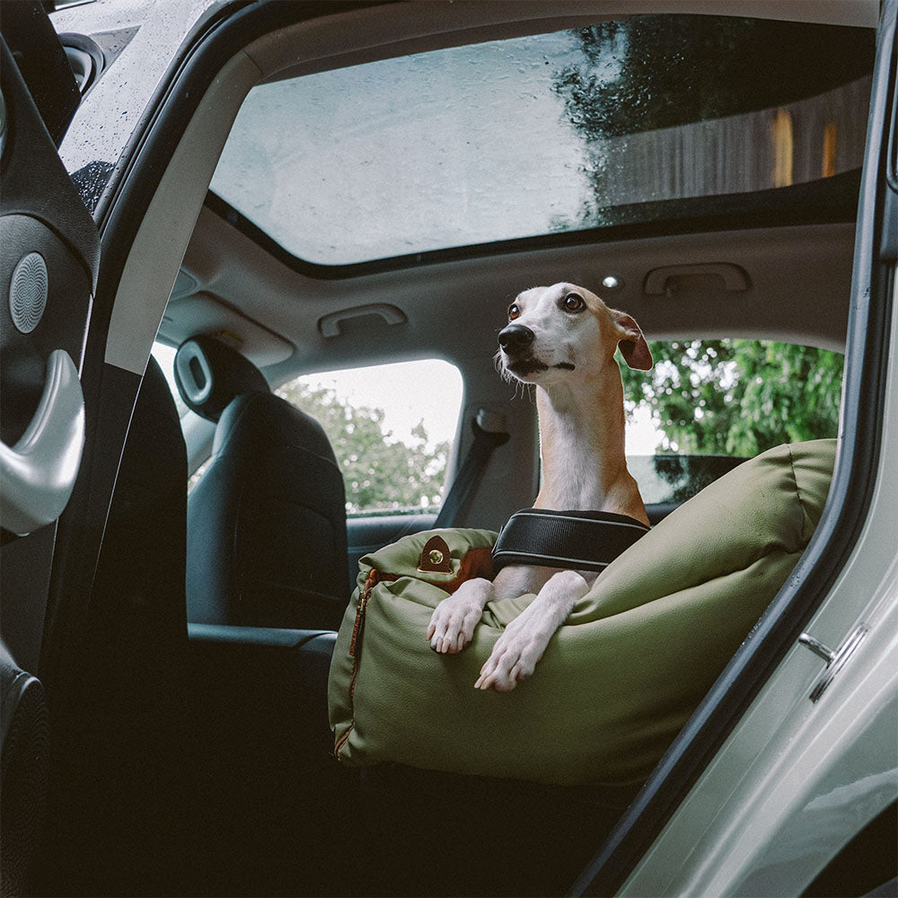 ComfortPaws - Auto-Hundebett