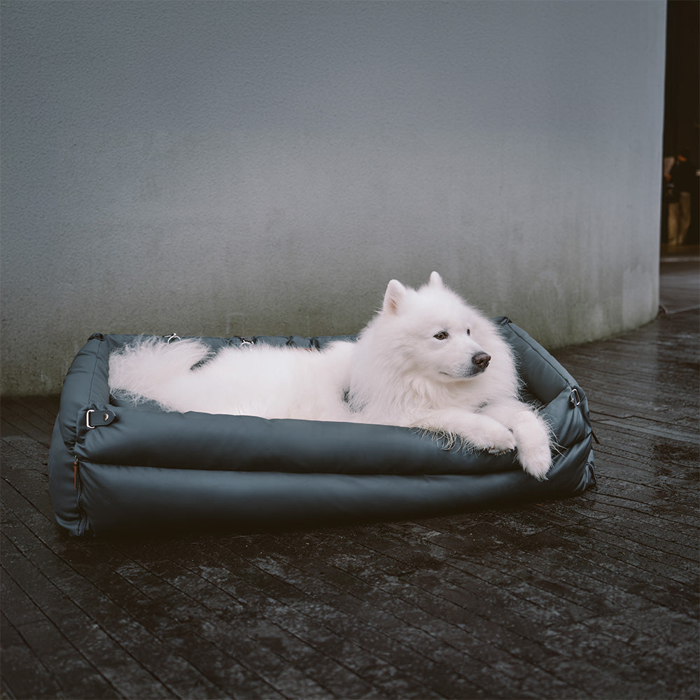 ComfortPaws - Auto-Hundebett