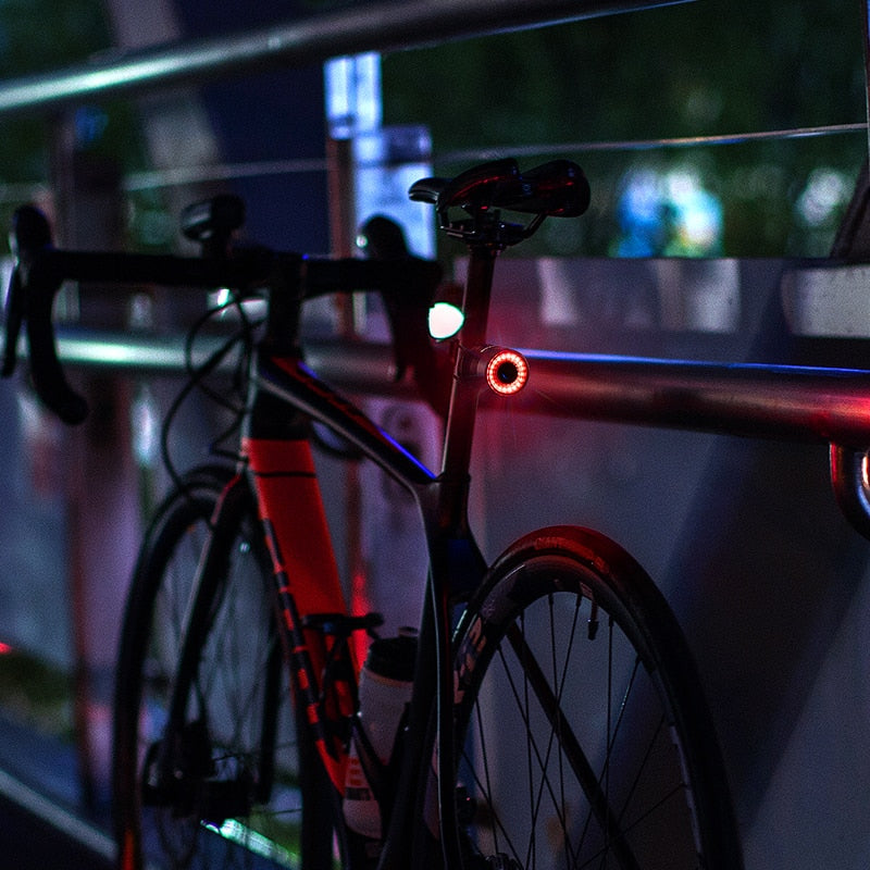 SmartBike Rücklicht