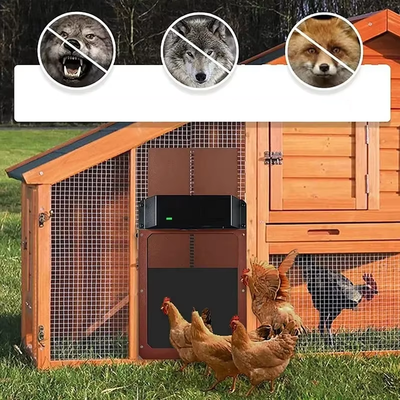 Automatische Hühnerstalltür