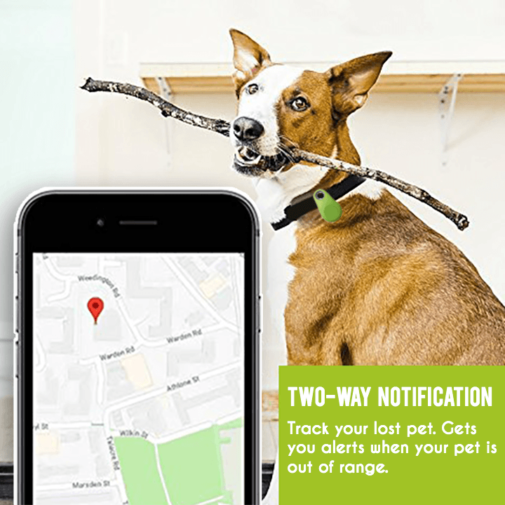 PawTrack GPS-Tier-Tracker