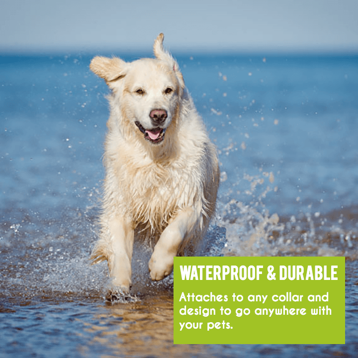 PawTrack GPS-Tier-Tracker