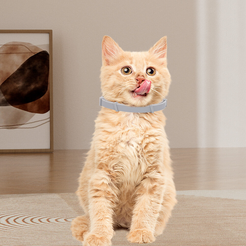 PetArmor MaxCare - Floh- und Zeckenhalsband für Hunde und Katzen