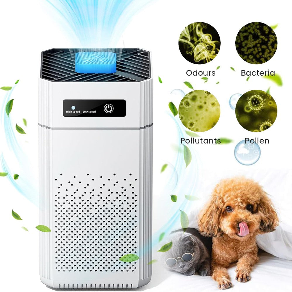 FrischeZeit - Intelligenter Luftreiniger