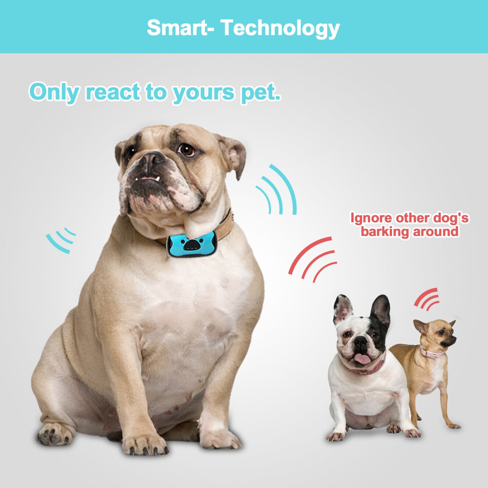 HushHound - Anti-Bell Hundehalsband