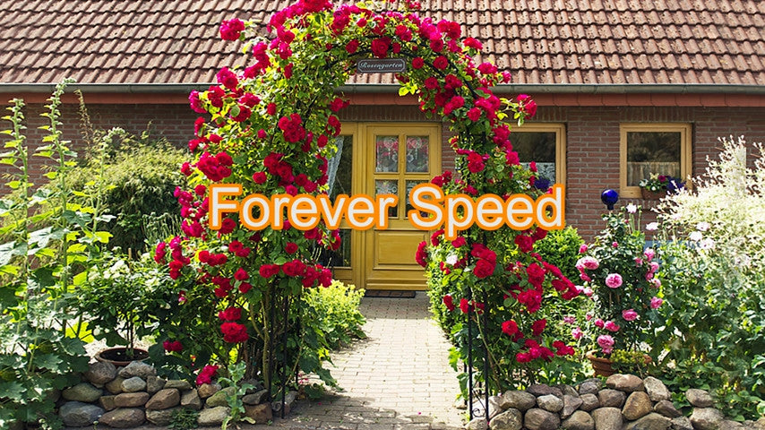 GardenBloom Arch - Rosenbogen Garten Metall