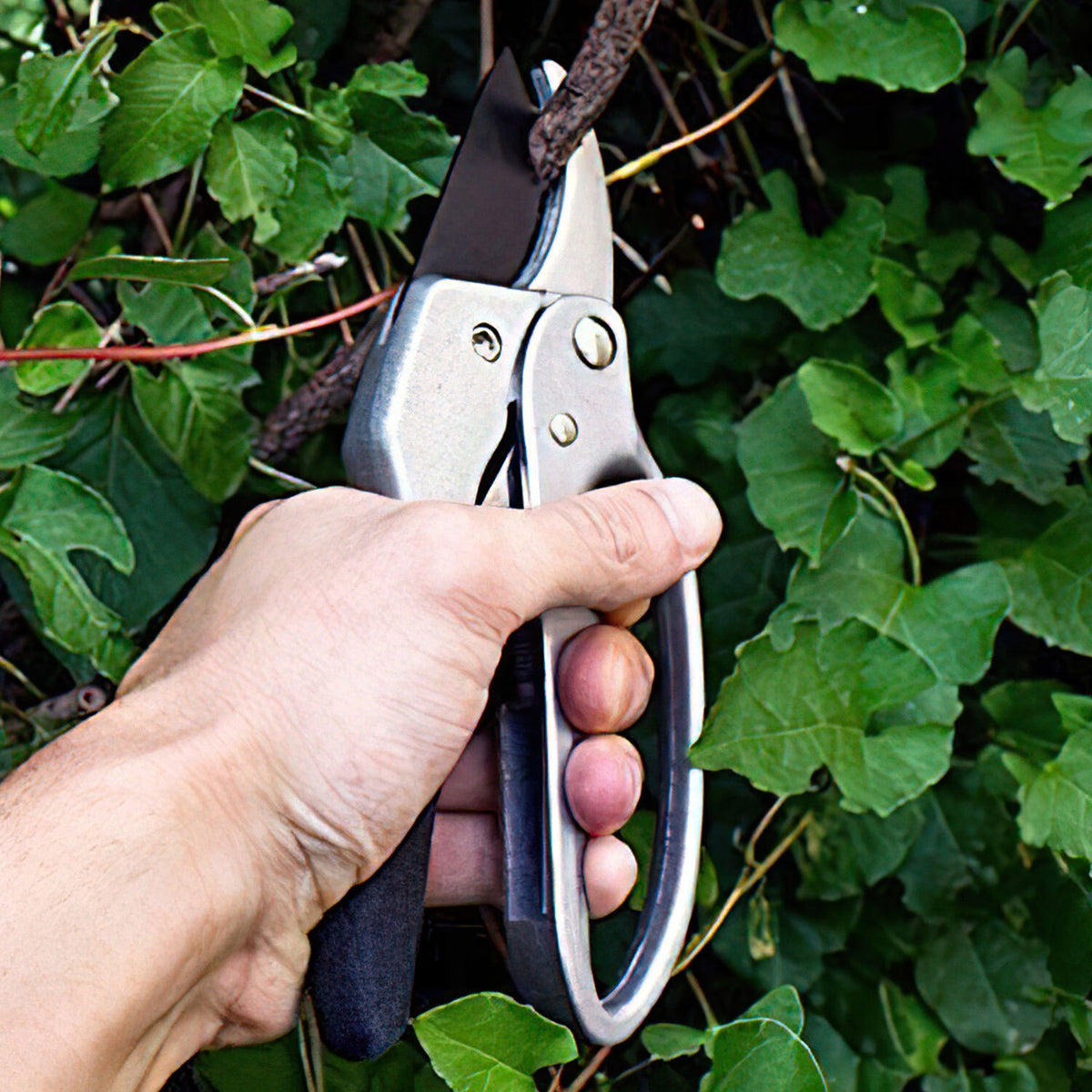 SharpForce – Gartenschere