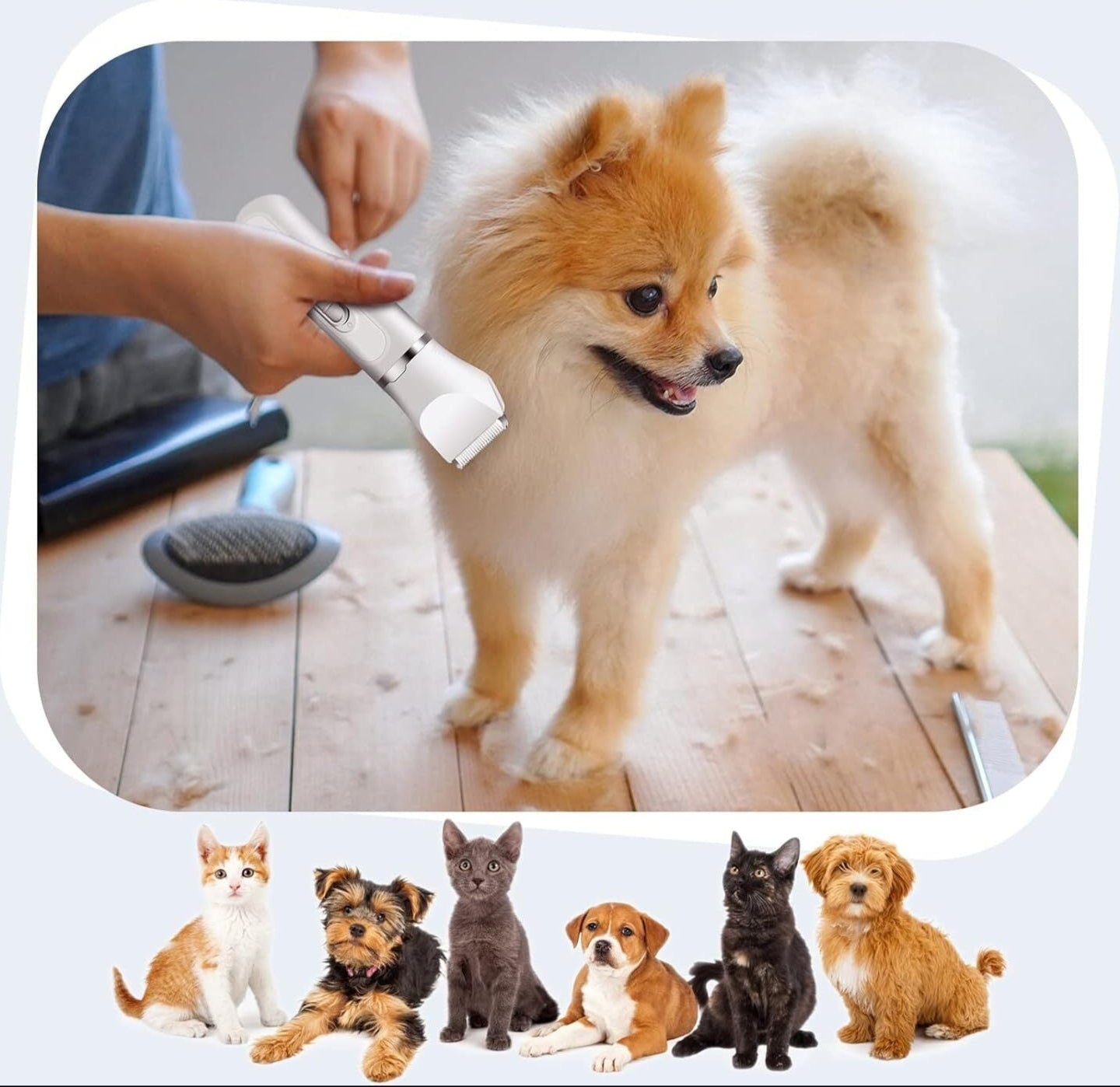 GroomJoy – Hundepflege-Schermaschine