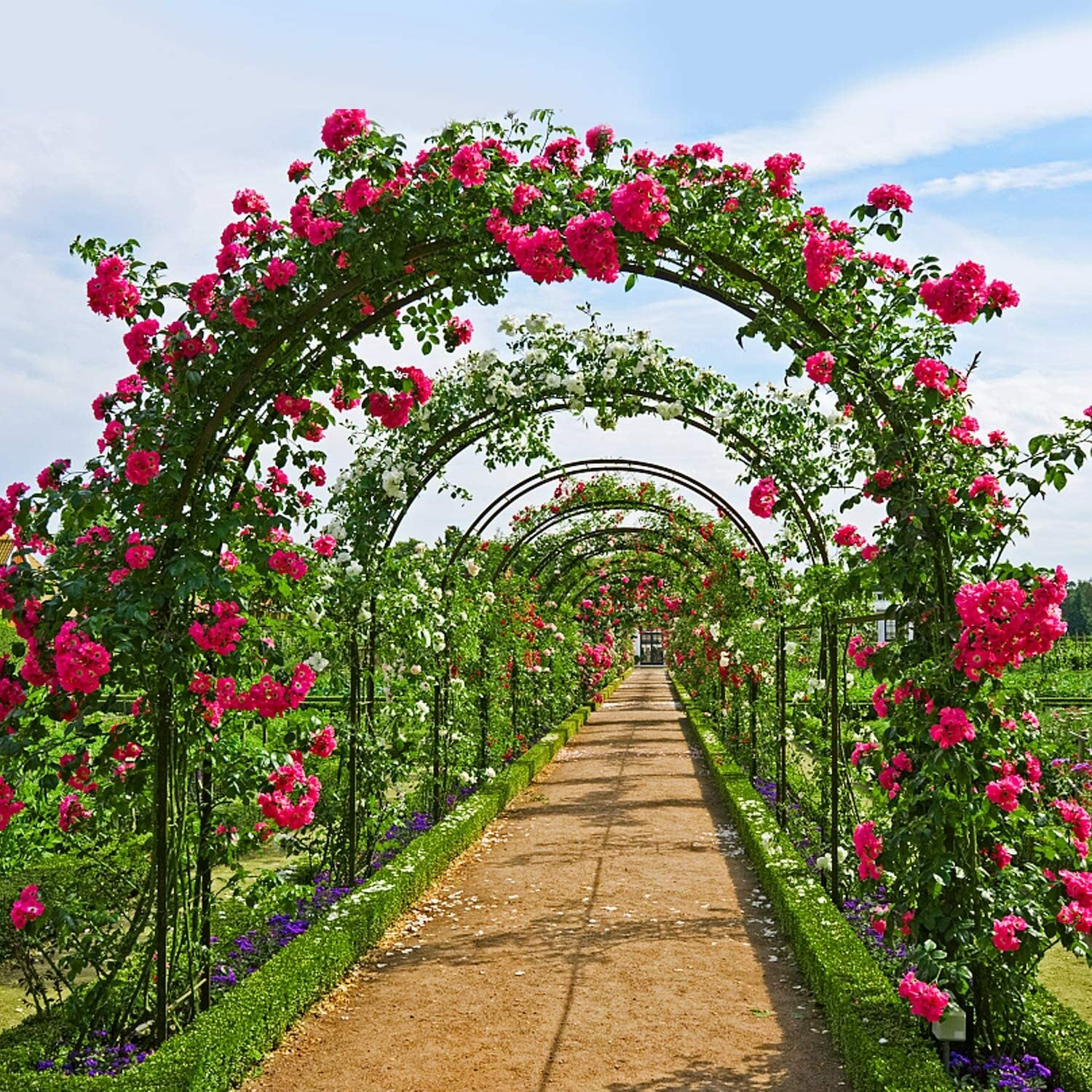 GardenBloom Arch - Rosenbogen Garten Metall