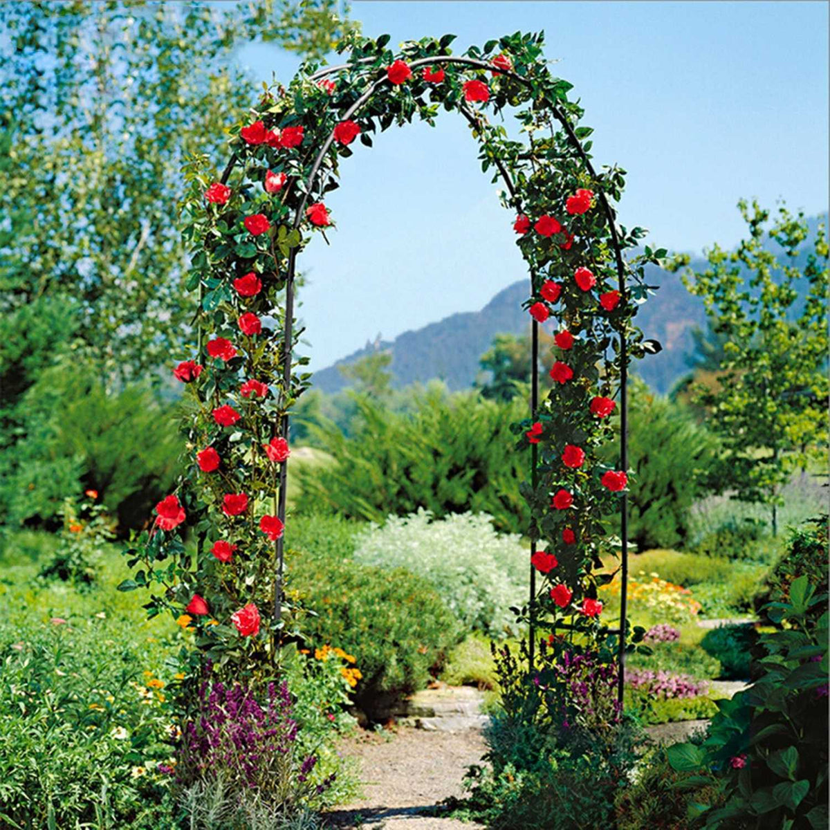 GardenBloom Arch - Rosenbogen Garten Metall