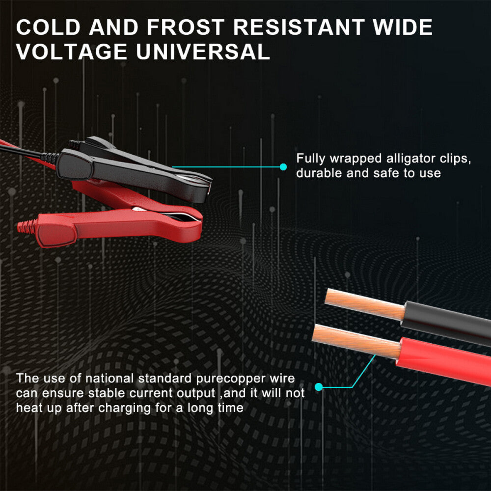AmpForce - Autobatterie-Ladegerät