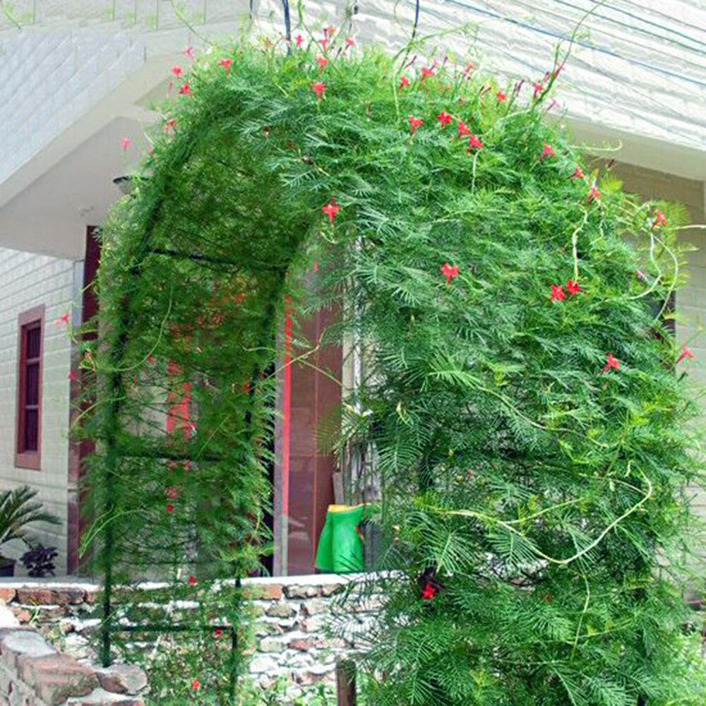 GardenBloom Arch - Rosenbogen Garten Metall