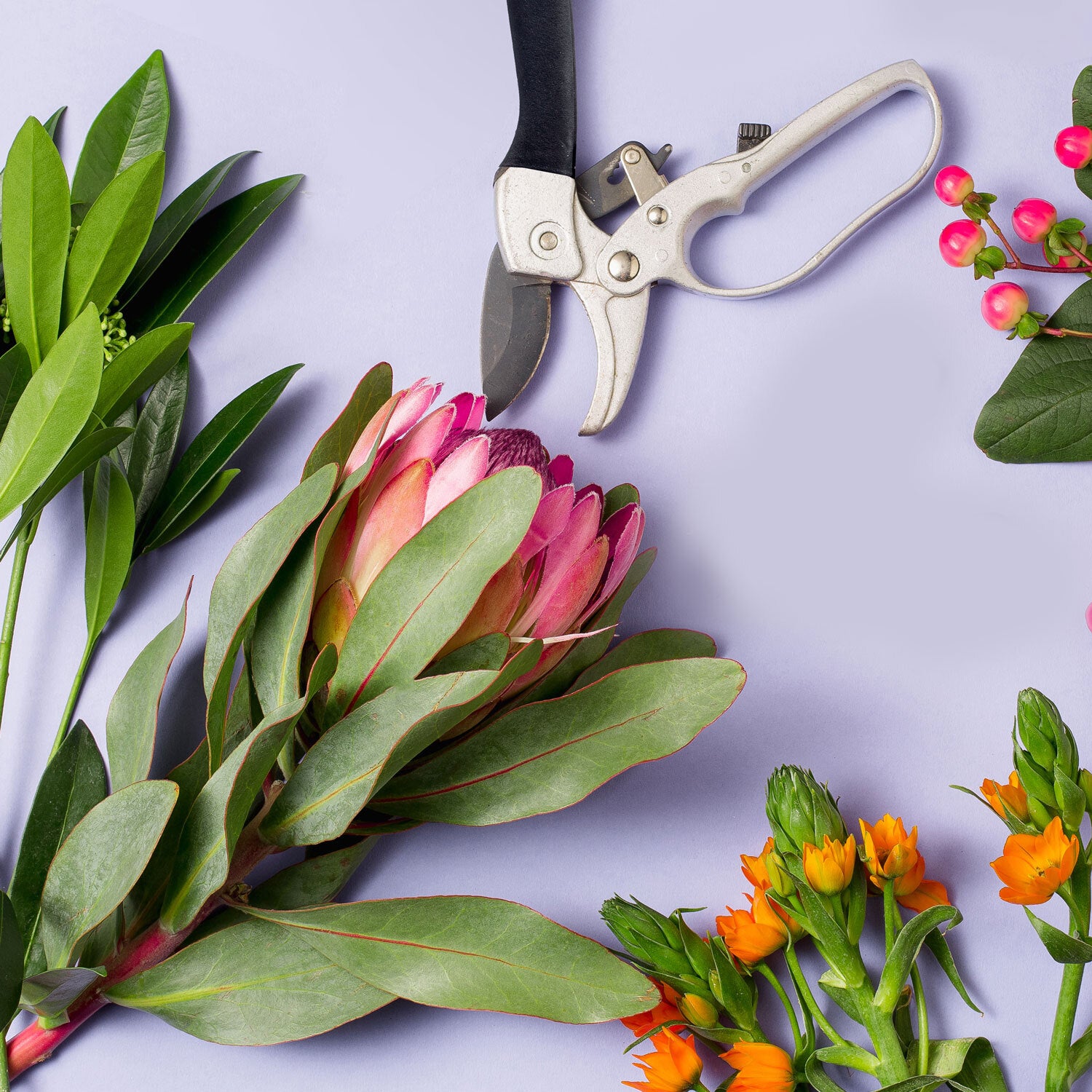 SharpForce – Gartenschere