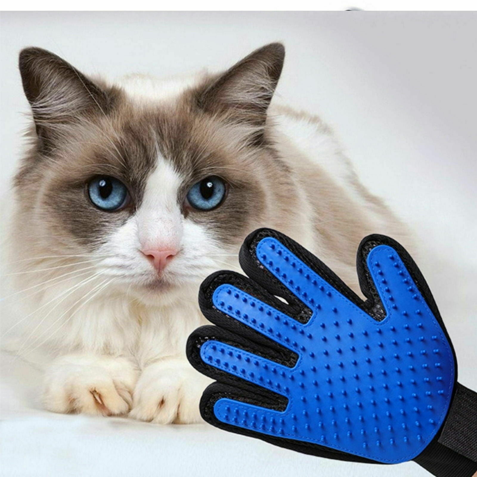 PawfectTouch – Handschuh zur Tierpflege