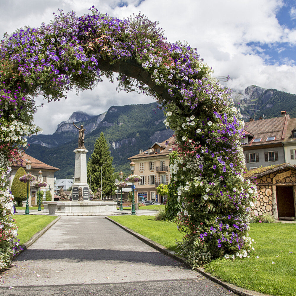 GardenBloom Arch - Rosenbogen Garten Metall