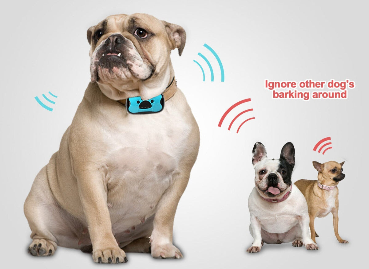 SilentWoof – Anti-Bell-Halsband für Hunde