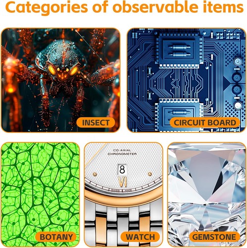 TinyWorlds - Digitales Mikroskop