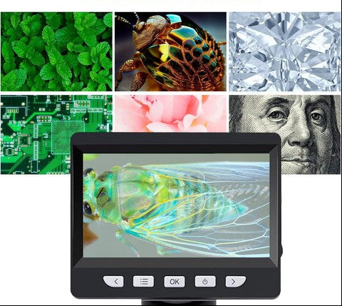 TinyWorlds - Digitales Mikroskop