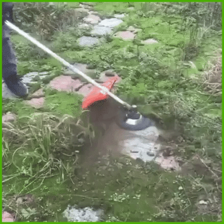 GreenSweep - Unkrauttrimmerkopf für Stihl Freischneider